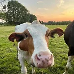 Nyaraló Reetdachhaus In Seenaehe, Ruhige Lage, Kamin & Terrasse *