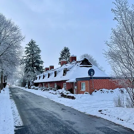 Reetdachhaus In Seenaehe, Ruhige Lage, Kamin & Terrasse *