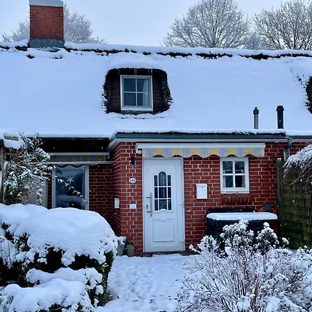 Feriehus Reetdachhaus In Seenaehe, Ruhige Lage, Kamin & Terrasse