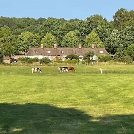 Reetdachhaus In Seenaehe, Ruhige Lage, Kamin & Terrasse Feriehus *