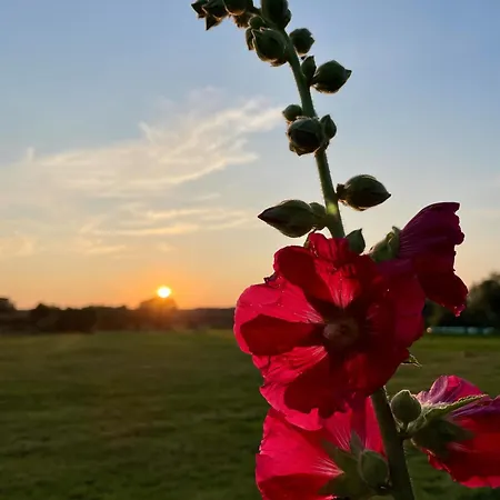 Reetdachhaus In Seenaehe, Ruhige Lage, Kamin & Terrasse Tatil Evi