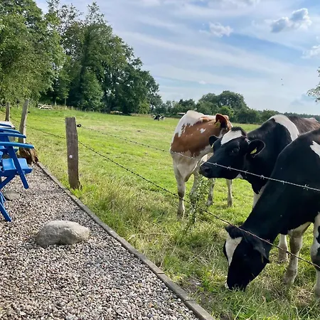 Reetdachhaus In Seenaehe, Ruhige Lage, Kamin & Terrasse Tatil Evi Seedorf (Segeberg)