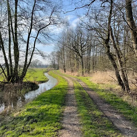 Reetdachhaus In Seenaehe, Ruhige Lage, Kamin & Terrasse Dom wakacyjny *