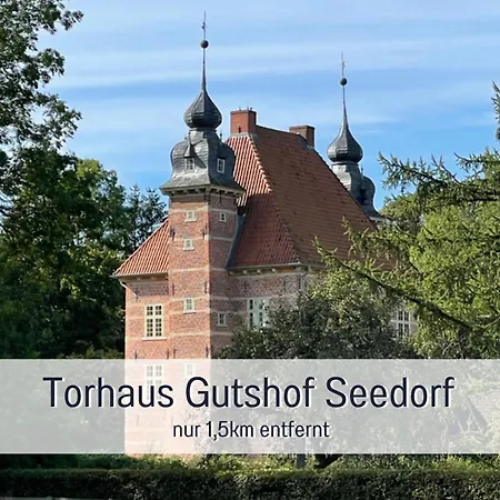Reetdachhaus In Seenaehe, Ruhige Lage, Kamin & Terrasse Seedorf (Segeberg)